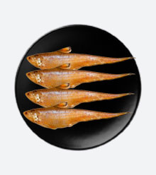 Blue Pinafore Denim Dress