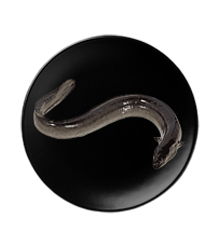 Blue Pinafore Denim Dress