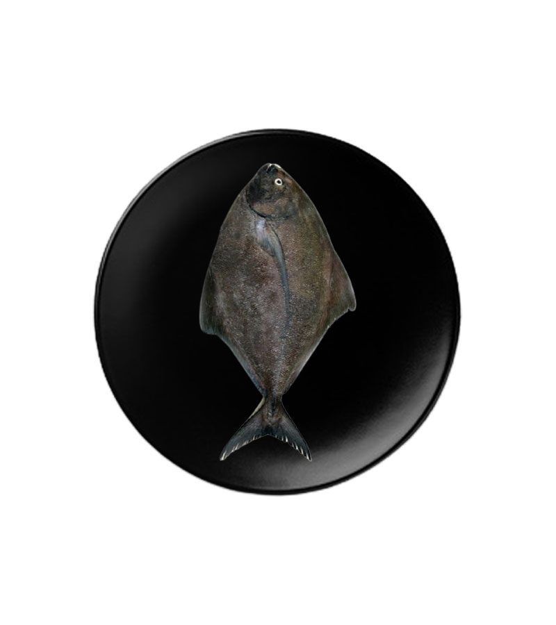 Women's Brown Leather Backpacks