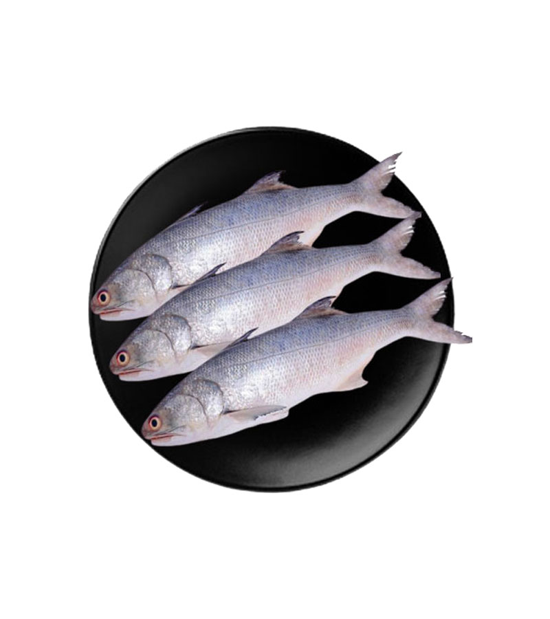 Women's Brown Leather Backpacks