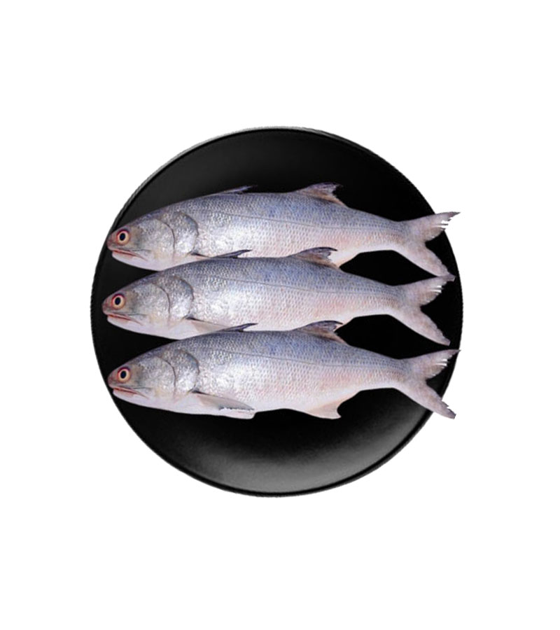 Women's Brown Leather Backpacks