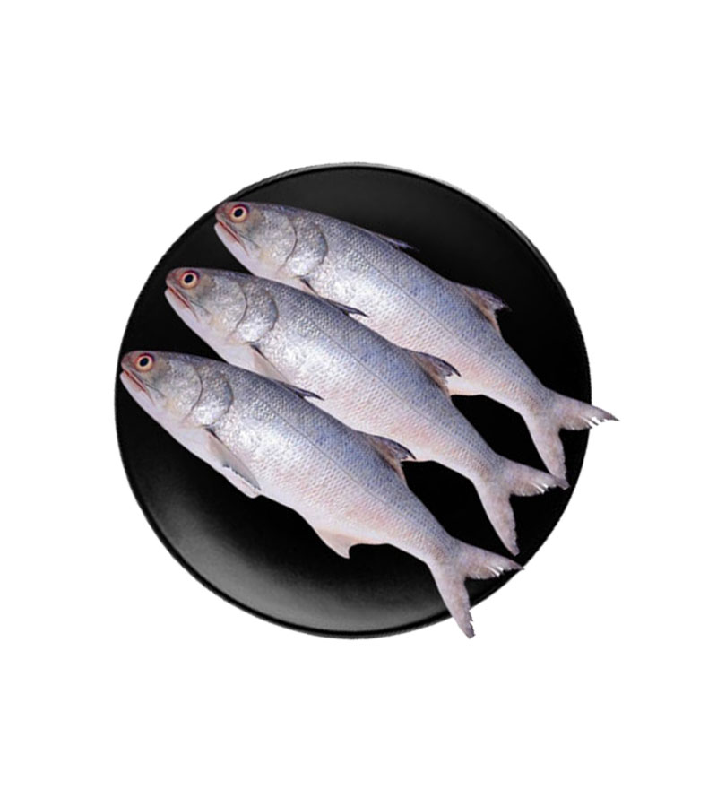 Women's Brown Leather Backpacks